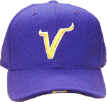 ~l\^ oCLOX ObY Minnesota Vikings goods