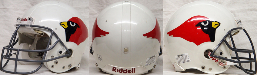 NFL Riddell(リデル) Authentic Helmet ヘルメット /Goods Shop