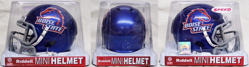 NFL & NCAA COLLEGE FOOTBALL Riddell  {[V Xs[h vJ ~jwbg